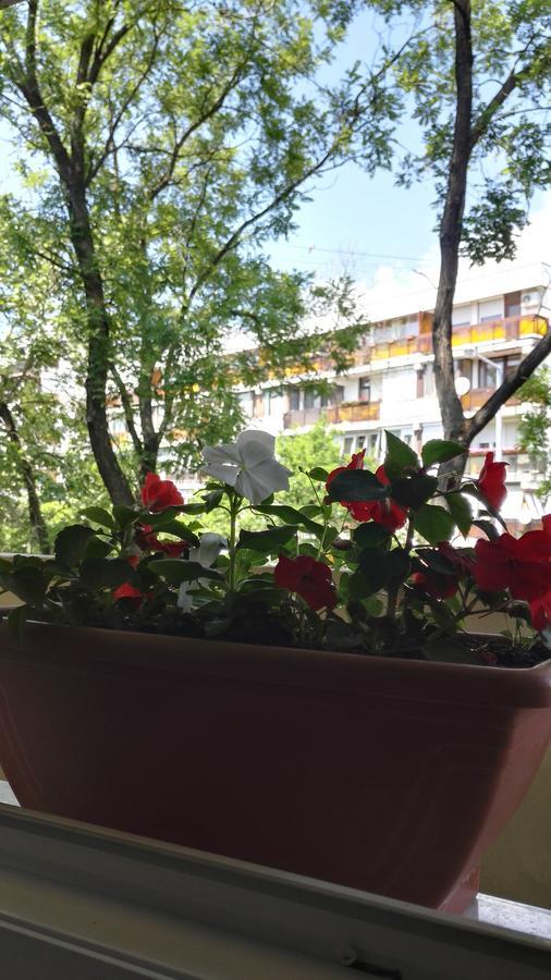 Csipke Apartman Makó Εξωτερικό φωτογραφία